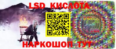 прущие грибы Славгород