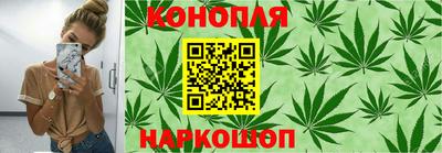 прущие грибы Славгород